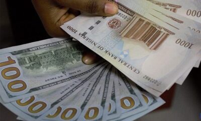 A hand holding 1000 Naira notes and 100 Dollar notes
